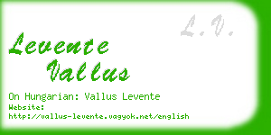 levente vallus business card